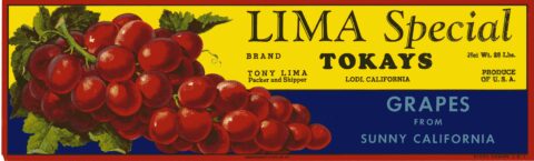 Lima Special